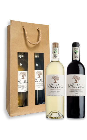 Sac 2 Bouteilles Grand Prestige