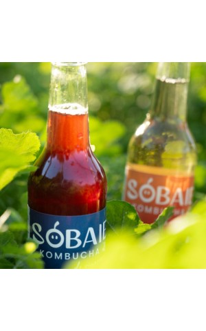 Sobaie Kombucha de vigneron - Baie de raisin Rouge