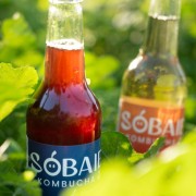 Sobaie Kombucha de vigneron - Baie de raisin Rouge