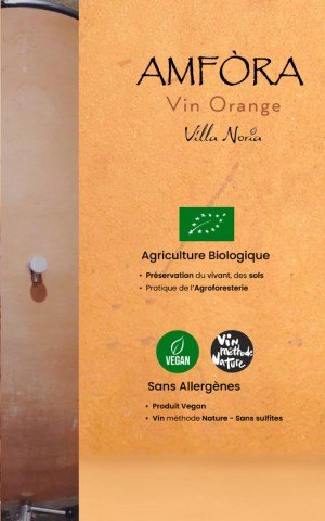 Amfòra : le vin orange naturel sans filtre