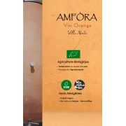 Amfòra : le vin orange naturel sans filtre