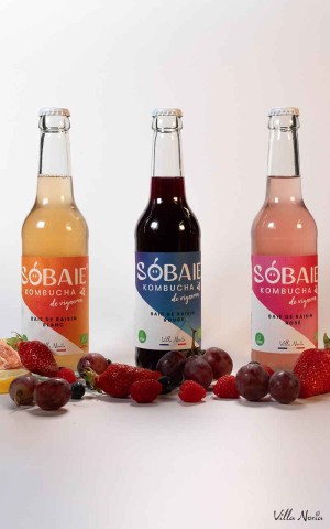 Carton - Sobaie, Kombucha de Vigneron
