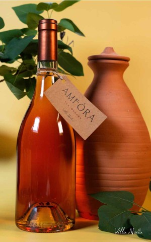 Amfòra : le vin orange naturel sans filtre