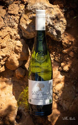 La serre - AOP Picpoul de Pinet