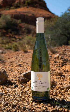 La serre - AOP Picpoul de Pinet