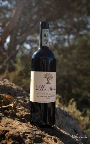 Cabernet Sauvignon