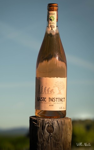 Basic Instinct - Rosé, Vegan & Sans sulfite