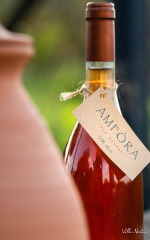 Amfòra Vin Orange Bio by Villa Noria