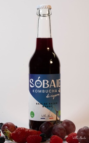Sobaie Kombucha de vigneron - Baie de raisin Rouge sans alcool