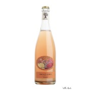 Les Infusions de Villa Noria - PET'NAT' Orange