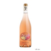 Les Infusions - Orange, tranquille