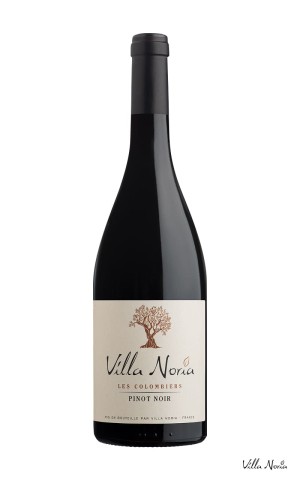 Les terroirs de Villa Noria - Colombiers Pinot Noir IGP Pays d'Oc