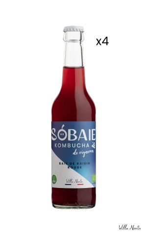 Sobaie Kombucha de vigneron - Baie de raisin Rouge sans alcool