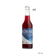Sobaie Kombucha de vigneron - Baie de raisin Rouge sans alcool