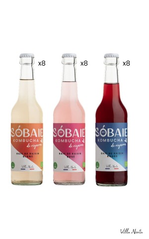 Carton - Sobaie, Kombucha de Vigneron