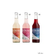 Carton - Sobaie, Kombucha de Vigneron