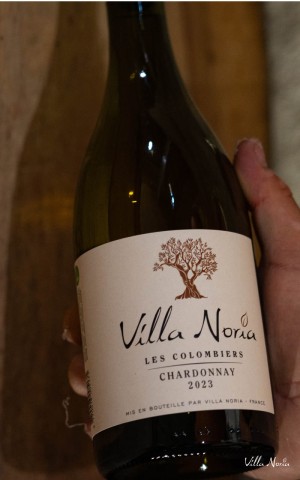 Les terroirs de Villa Noria - Colombiers Chardonnay IGP Pays d'Oc