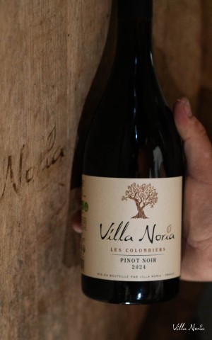 Les terroirs de Villa Noria - Colombiers Pinot Noir IGP Pays d'Oc