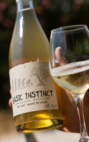 Basic Instinct - Blanc de Noirs Pet'Nat', sans sulfite