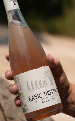 Basic Instinct - Rosé Pet'Nat', sans sulfite