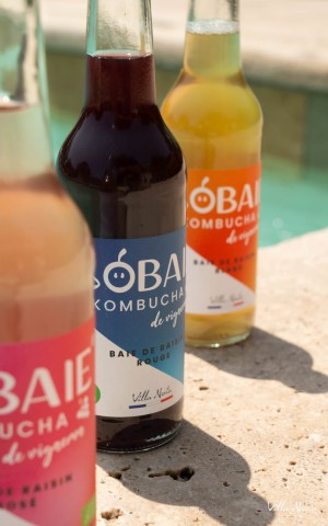 Carton - Sobaie, Kombucha de Vigneron