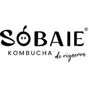 SOBAIE, Kombucha de Vigneron