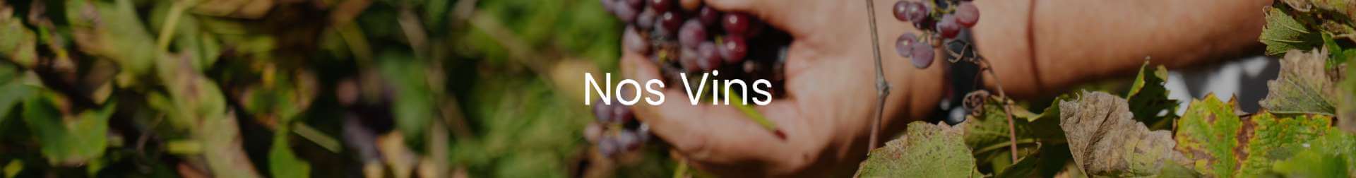 Nos Vins