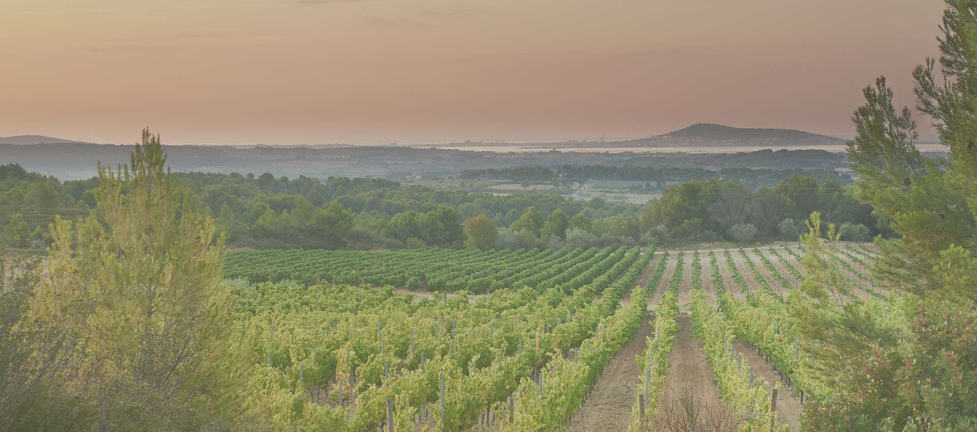 Domaine Villa Noria